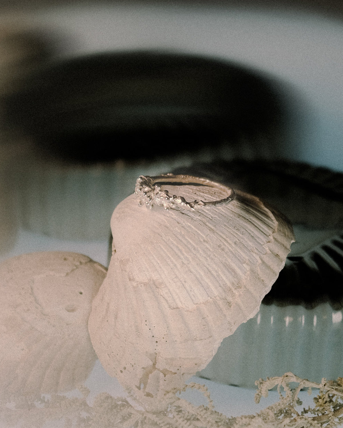 Close-up of seashells and silver seaweed ring.